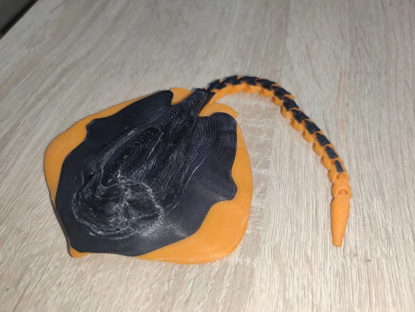 Cá Đuối Có Đuôi Khớp Nối - Image 1