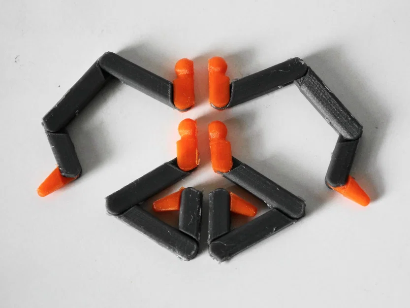 Nhện Khớp Nối - Image 2