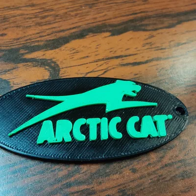 Móc Khóa Hình Con Mèo Artic