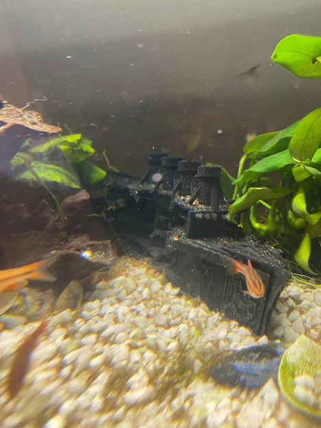 Mô hình Tàu Bị Đắm cho Bể Cá hoặc Dùng Làm Đồ Trang Trí - Image 3