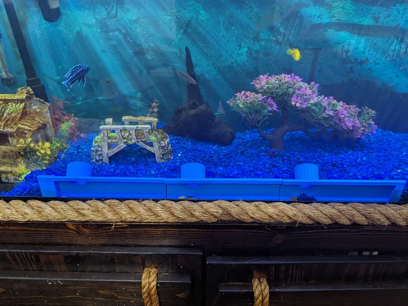 Hang cá nhìn xuyên thấu - Image 1