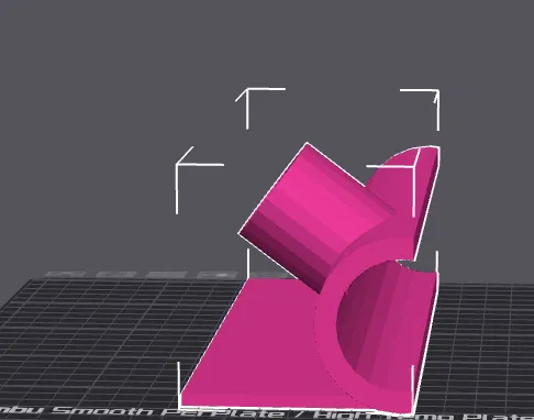 Hang cá nhìn xuyên thấu - Image 5