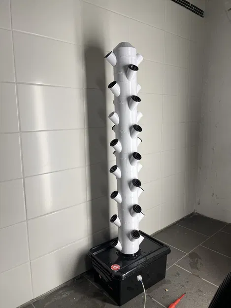 Ly thủy canh - Image 5