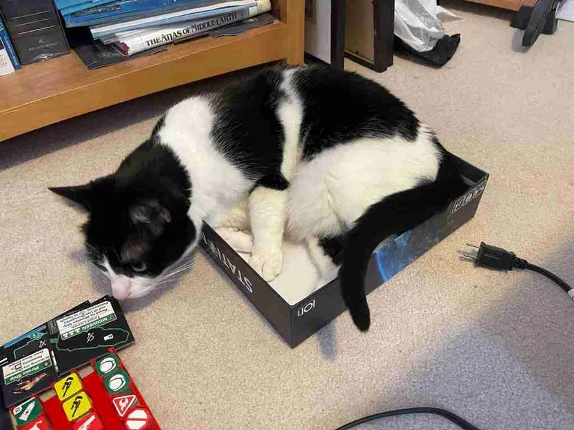 Khay Insert Cho Stationfall - Image 7