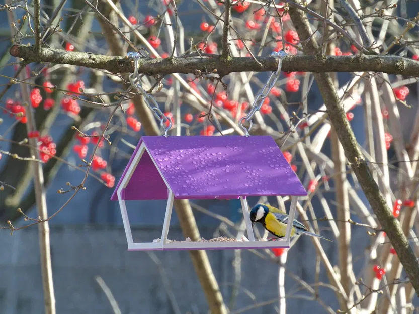 Máng Ăn Chim Bằng Nhựa PETg Siêu Bền - Image 2