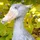 nite99a_1214060