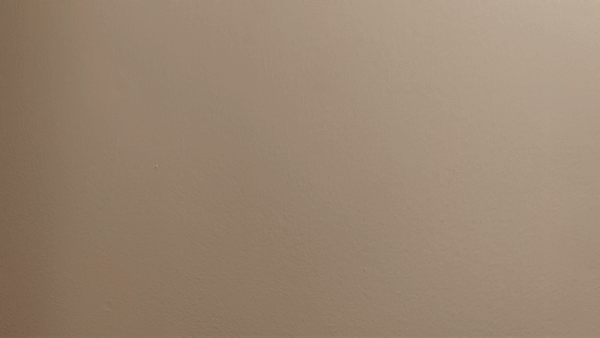 SPEEDLOADER Nạp Đạn Nhanh 6 & 12 Viên Cho Súng Bắn Đĩa - Image 5