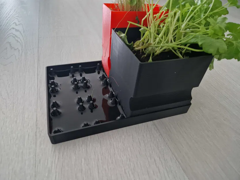 Đế Tự Tưới Tùy Chỉnh 20x15cm - Image 3