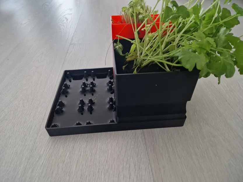 Đế Tự Tưới Tùy Chỉnh 20x15cm - Image 4