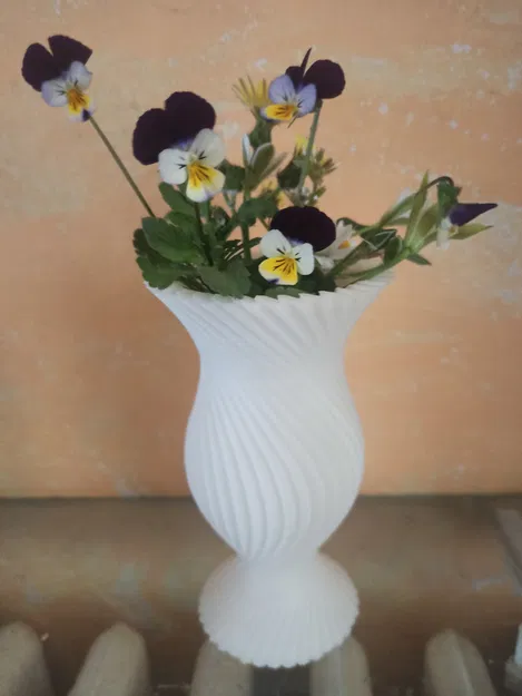 Vaso xoắn - Image 3