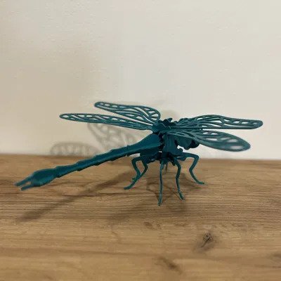 Mô Hình "Dragonfly" 3D Puzzle