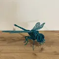 Mô Hình "Dragonfly" 3D Puzzle - Thumbnail 6