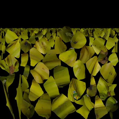 Chuối 3D Scan
