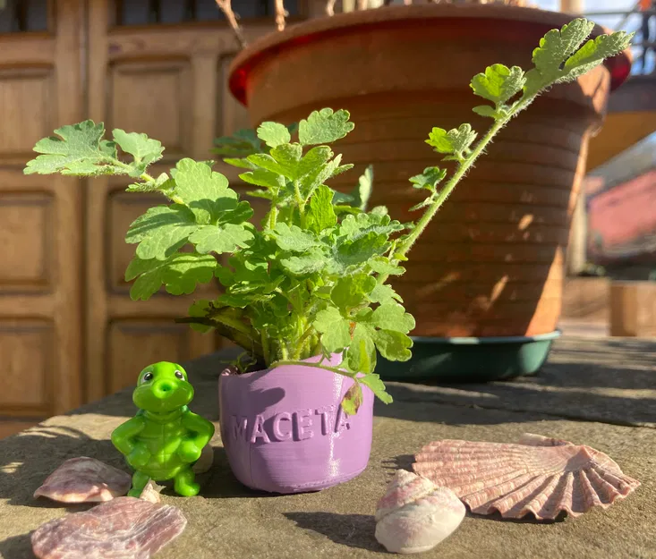 Chậu Cây Thủy Sinh Cho Hồ Cá - Image 1