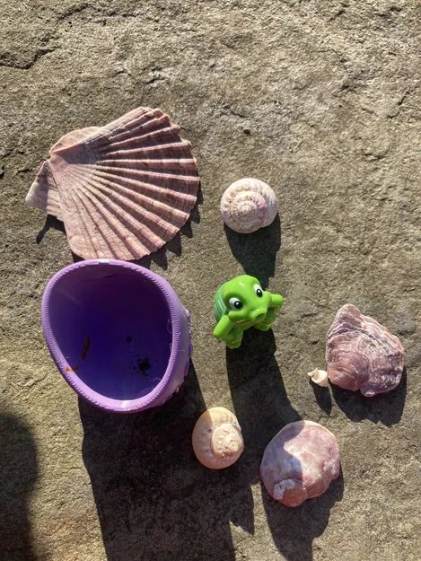 Chậu Cây Thủy Sinh Cho Hồ Cá - Image 3