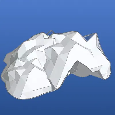 Hang Cá Cho Bể Cá Cảnh