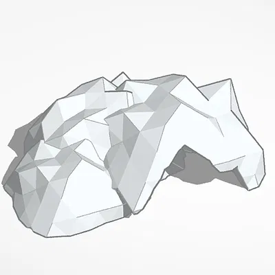 Hang Cá Cho Bể Cá Cảnh