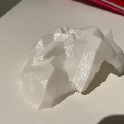 Hang Cá Cho Bể Cá Cảnh