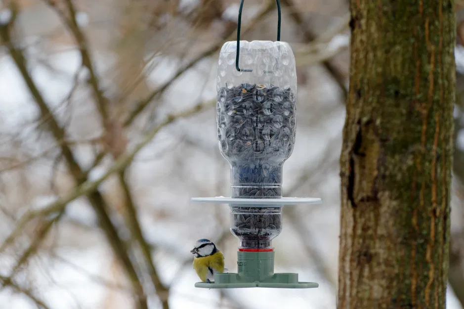 Khay đựng thức ăn T383 "troják" cho chim - Image 1