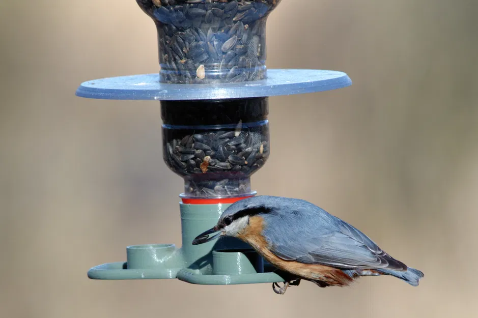 Khay đựng thức ăn T383 "troják" cho chim - Image 2