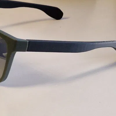 Gọng Kính Mát Polaroid (PLD 2079)