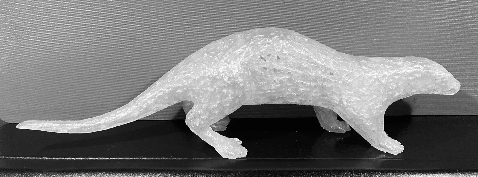 Rái cá Voronoi - Mô hình dự thi hình học Voronoi - Image 2