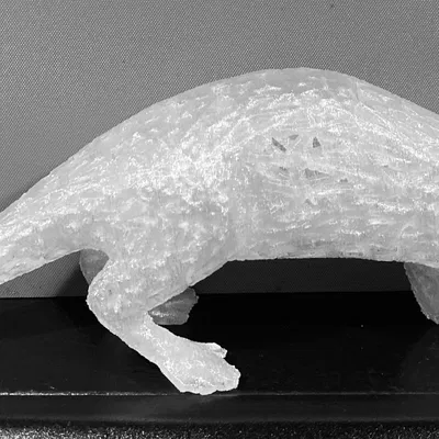 Rái cá Voronoi - Mô hình dự thi hình học Voronoi