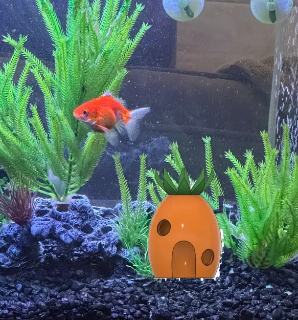 Trái Dứa Dưới Biển - Pineapple Under the Sea - Image 1