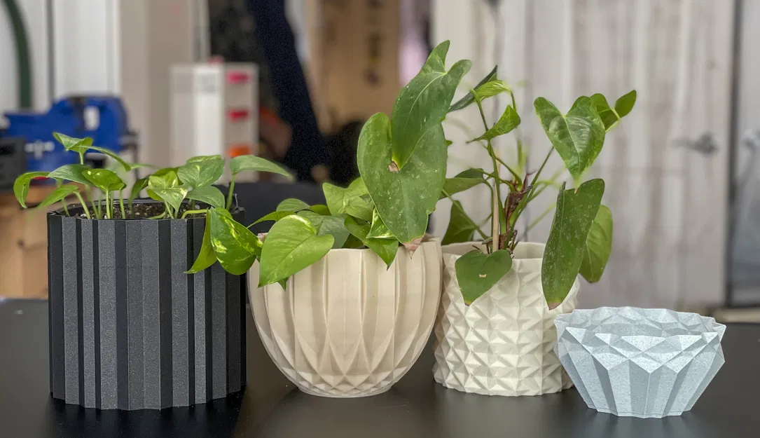 Bốn Chậu Hoa Hình Học - Image 1