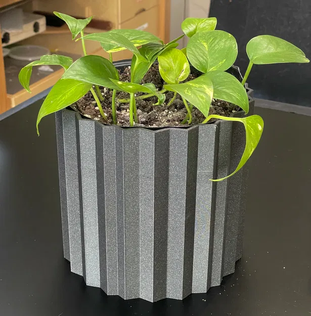 Bốn Chậu Hoa Hình Học - Image 2