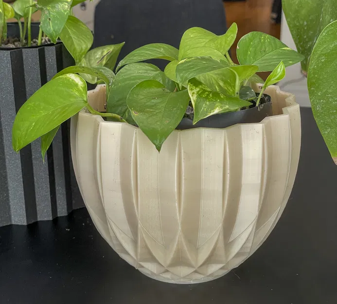 Bốn Chậu Hoa Hình Học - Image 3