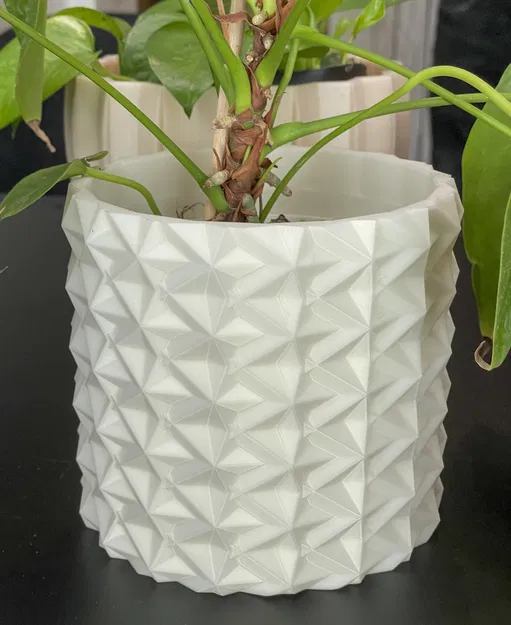 Bốn Chậu Hoa Hình Học - Image 4