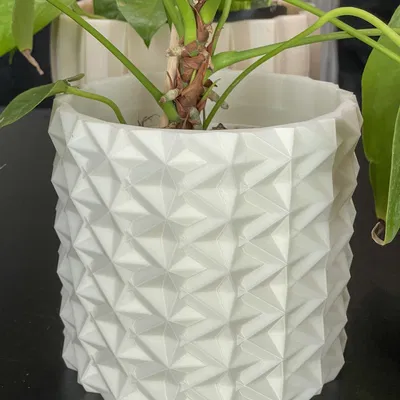 Bốn Chậu Hoa Hình Học