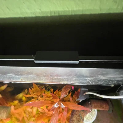 Kẹp Twinstar M5 cho Hồ Cá