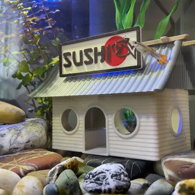 Trang Trí Hồ Cá Phong Cách Tiệm Sushi