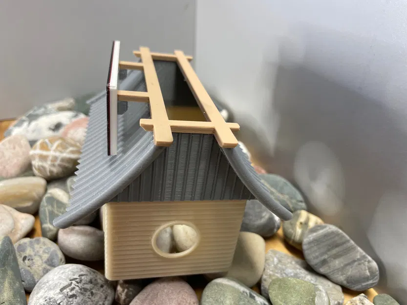 Trang Trí Hồ Cá Phong Cách Tiệm Sushi - Image 7