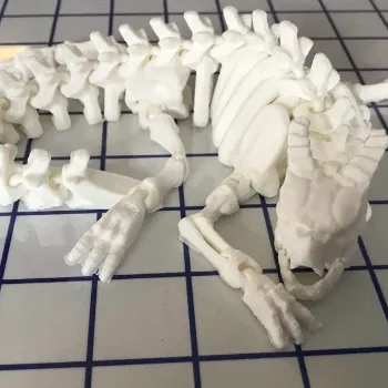 Rồng Bộ Xương - Dragon Bộ Xương