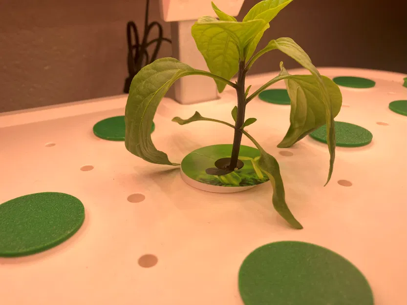 Rổ trồng cây Mars Hydro khít chặt - Image 5