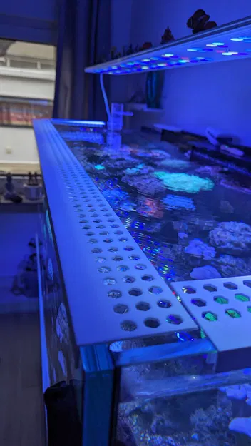 Chống Nhảy Hồ Cát Rạn San Hô và Nước Ngọt HopGuard - Image 5