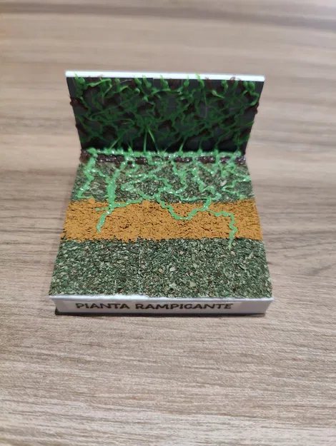 Betrayal At The House On The Hill - Các Phòng Bên Ngoài - Image 32