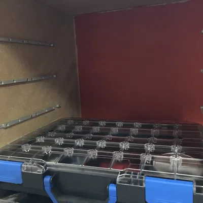 Ray Gắn Hộp Sortimo T-Boxx