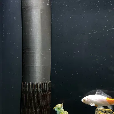 Chân Nước Bể Cá - Che Ống Dẫn Nước Ra Hệ Thống Lọc