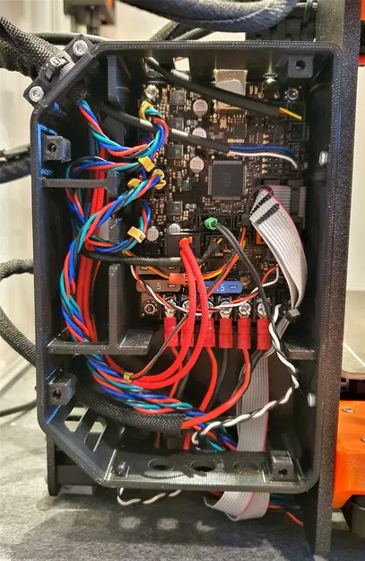 Vỏ Einsy Lớn Hơn Đảo Ngược - Image 6