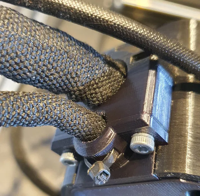 Vỏ Einsy Lớn Hơn Đảo Ngược - Image 7