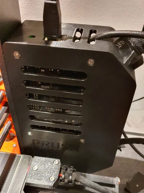 Vỏ Einsy Lớn Hơn Đảo Ngược - Image 8