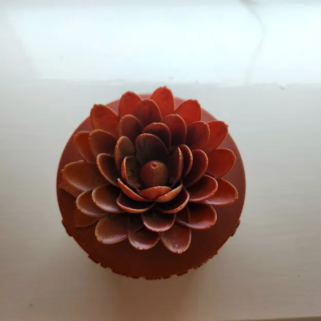 Hộp quà Valentine, hộp hoa hồng đựng trang sức - Image 5