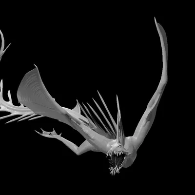 Coral Drake - Rồng San Hô