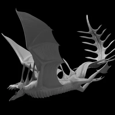 Coral Drake - Rồng San Hô