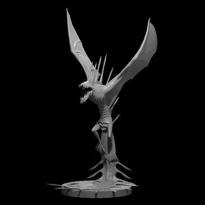 Coral Drake - Rồng San Hô