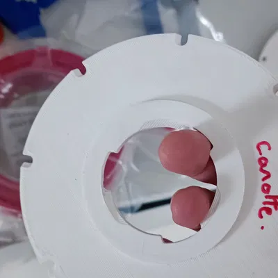 Đĩa Gieo Hạt Giống Cà Rốt - Semoir Semtout